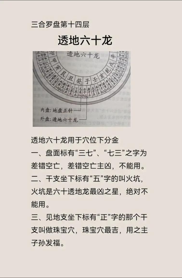 龍頭朝向風水學，龍頭朝向在風水學中的重要性及其其對個人和家庭運勢的影響 龍頭朝向風水學，龍頭朝向在風水學中的重要性及其其對個人和家庭運勢的影響 龍魚百科 第13張