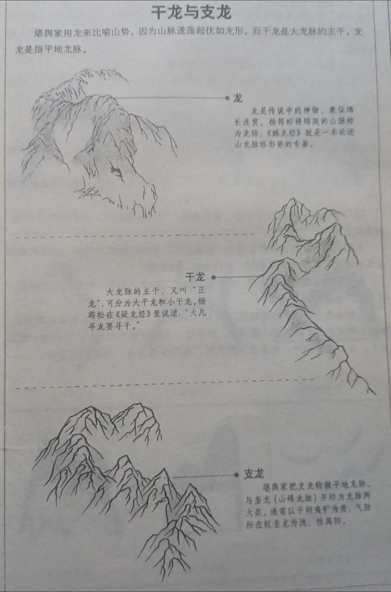 龍頭朝向風水學，龍頭朝向在風水學中的重要性及其其對個人和家庭運勢的影響 龍頭朝向風水學，龍頭朝向在風水學中的重要性及其其對個人和家庭運勢的影響 龍魚百科 第5張