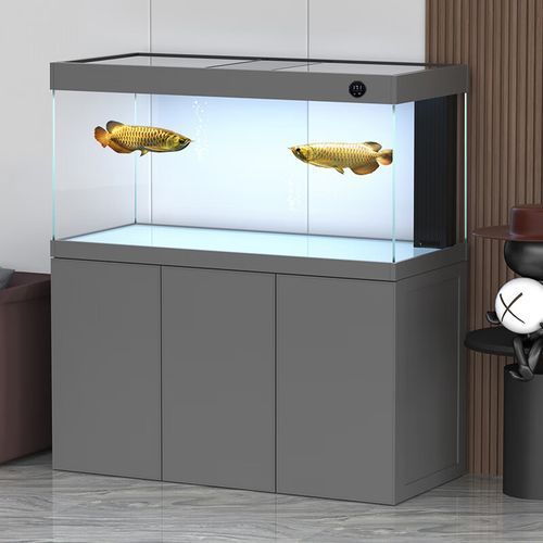 有哪些品牌推薦的標準龍魚缸？，主流品牌標準龍魚缸推薦清單 有哪些品牌推薦的標準龍魚缸？，主流品牌標準龍魚缸推薦清單 龍魚百科 第16張