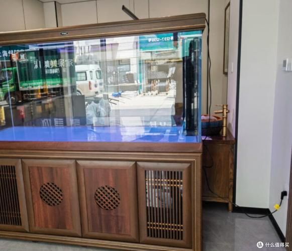 有哪些品牌推薦的標準龍魚缸？，主流品牌標準龍魚缸推薦清單 有哪些品牌推薦的標準龍魚缸？，主流品牌標準龍魚缸推薦清單 龍魚百科 第15張