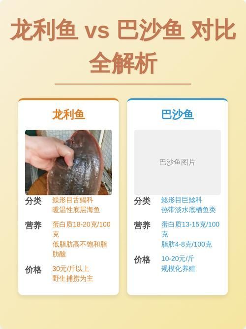 如何區分真假龍利魚 龍魚百科 第8張 如何區分真假龍利魚 如何區分真假龍利魚 龍魚百科 第8張