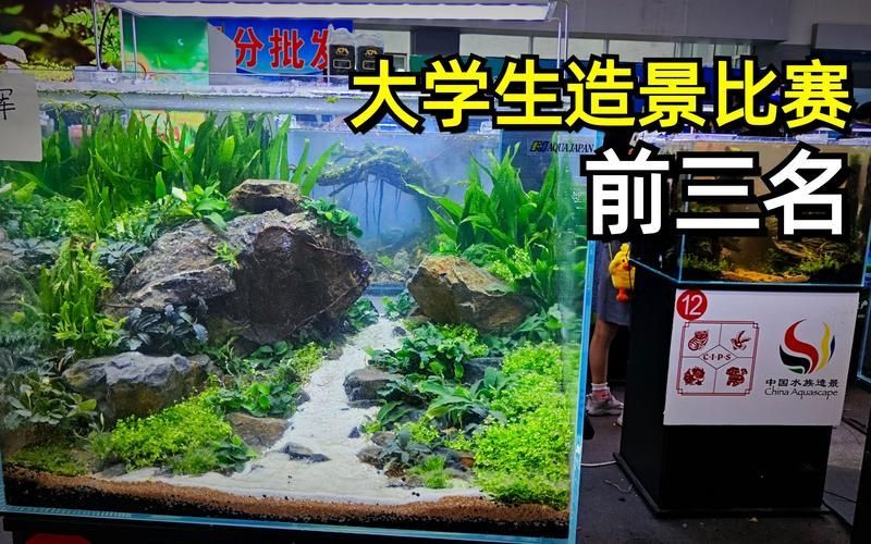 2圖片5張21水族展會(huì)有哪些亮點(diǎn)?,2023年水族展會(huì)有哪些亮點(diǎn)? 龍魚百科 第2張 2圖片5張21水族展會(huì)有哪些亮點(diǎn)?,2023年水族展會(huì)有哪些亮點(diǎn)? 2圖片5張21水族展會(huì)有哪些亮點(diǎn)?,2023年水族展會(huì)有哪些亮點(diǎn)? 龍魚百科 第2張