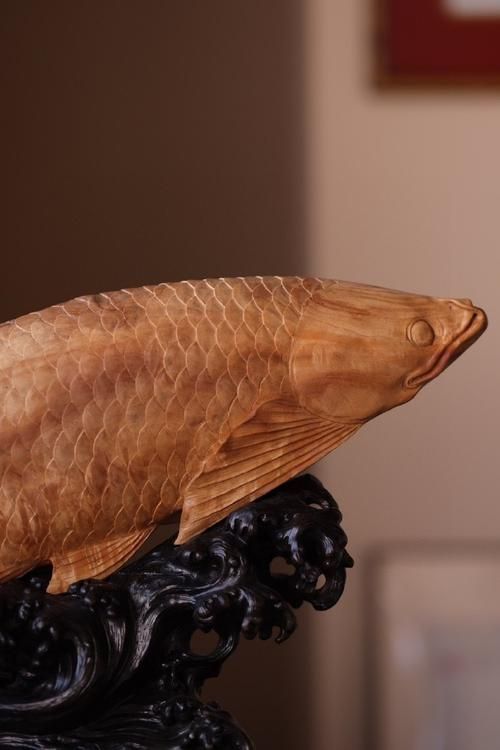 如何鑒別木雕金龍魚的材質，如何準確辨別木雕金龍魚的材質 如何鑒別木雕金龍魚的材質，如何準確辨別木雕金龍魚的材質 龍魚百科 第5張