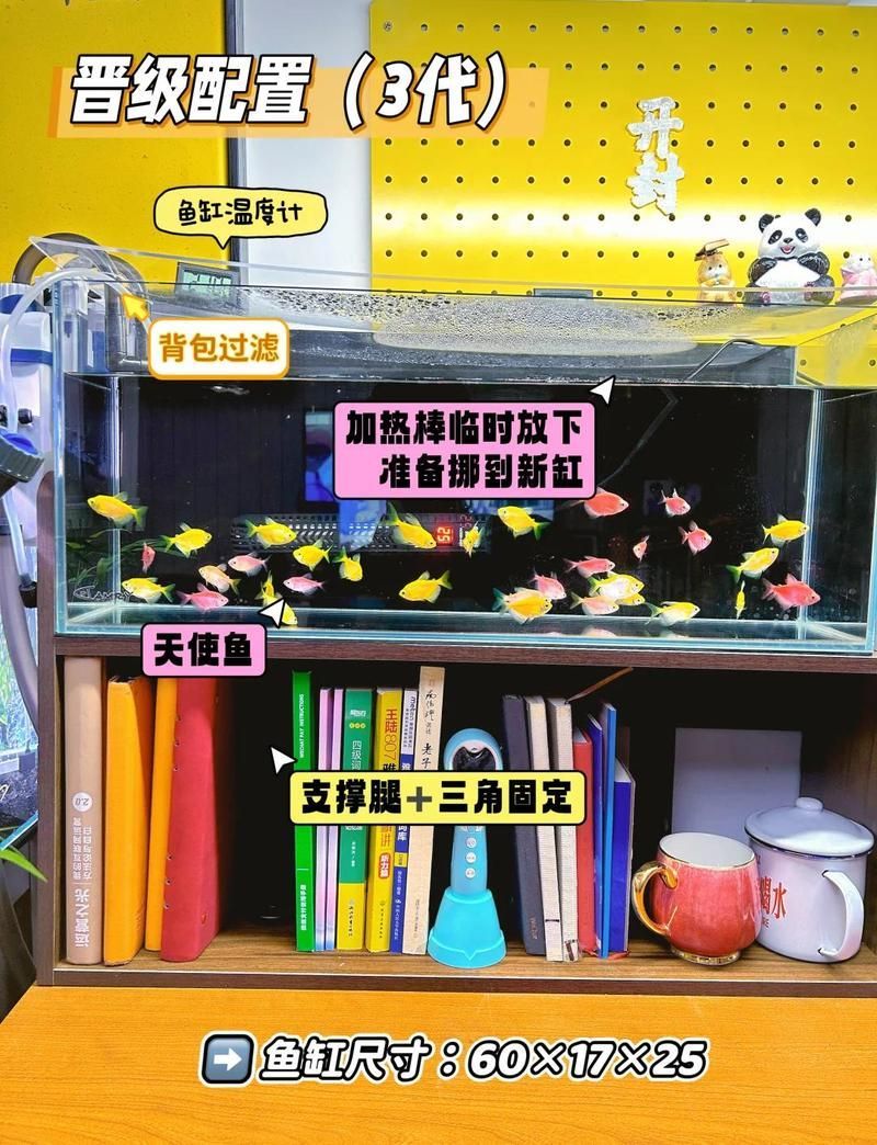 觀賞魚(yú)飼養(yǎng)成本大概是多少，養(yǎng)觀賞魚(yú)成本大概是多少
