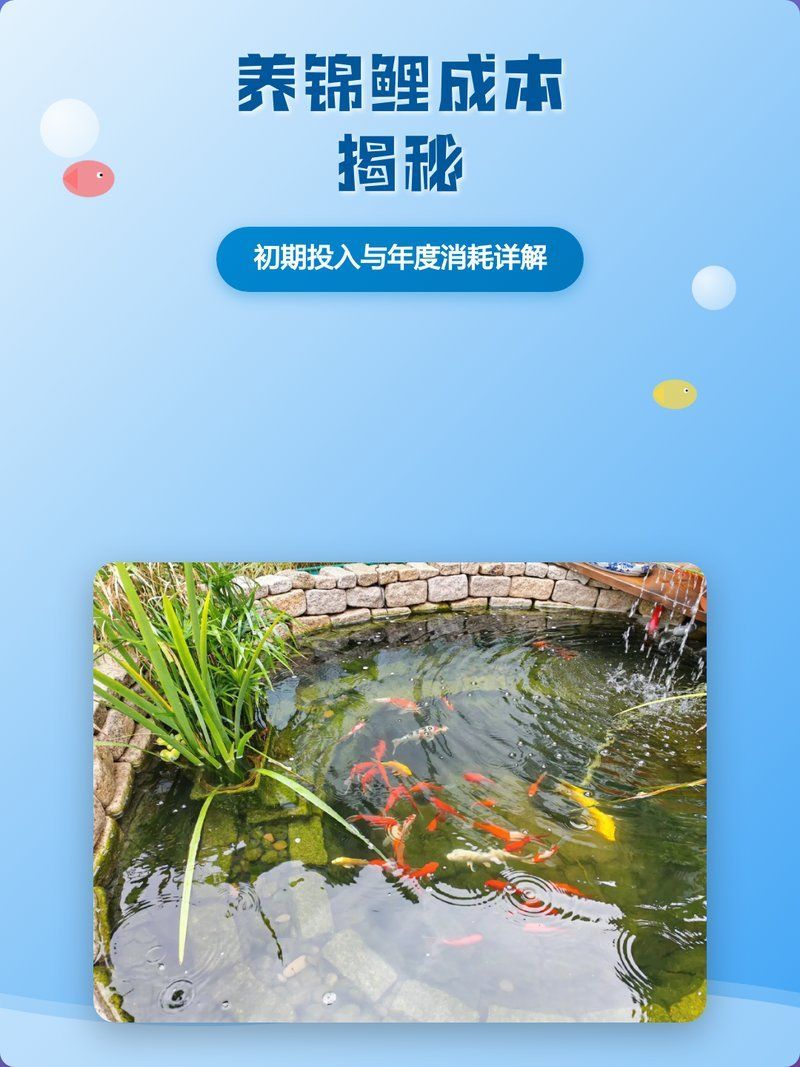 觀賞魚(yú)飼養(yǎng)成本大概是多少，養(yǎng)觀賞魚(yú)成本大概是多少