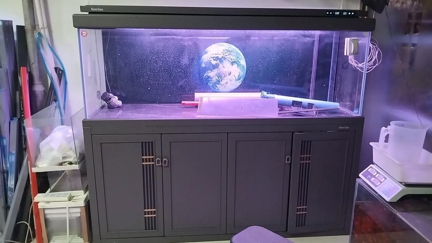 龍魚缸的長度是多少? 龍魚百科 第8張 龍魚缸的長度是多少? 龍魚缸的長度是多少? 龍魚百科 第8張