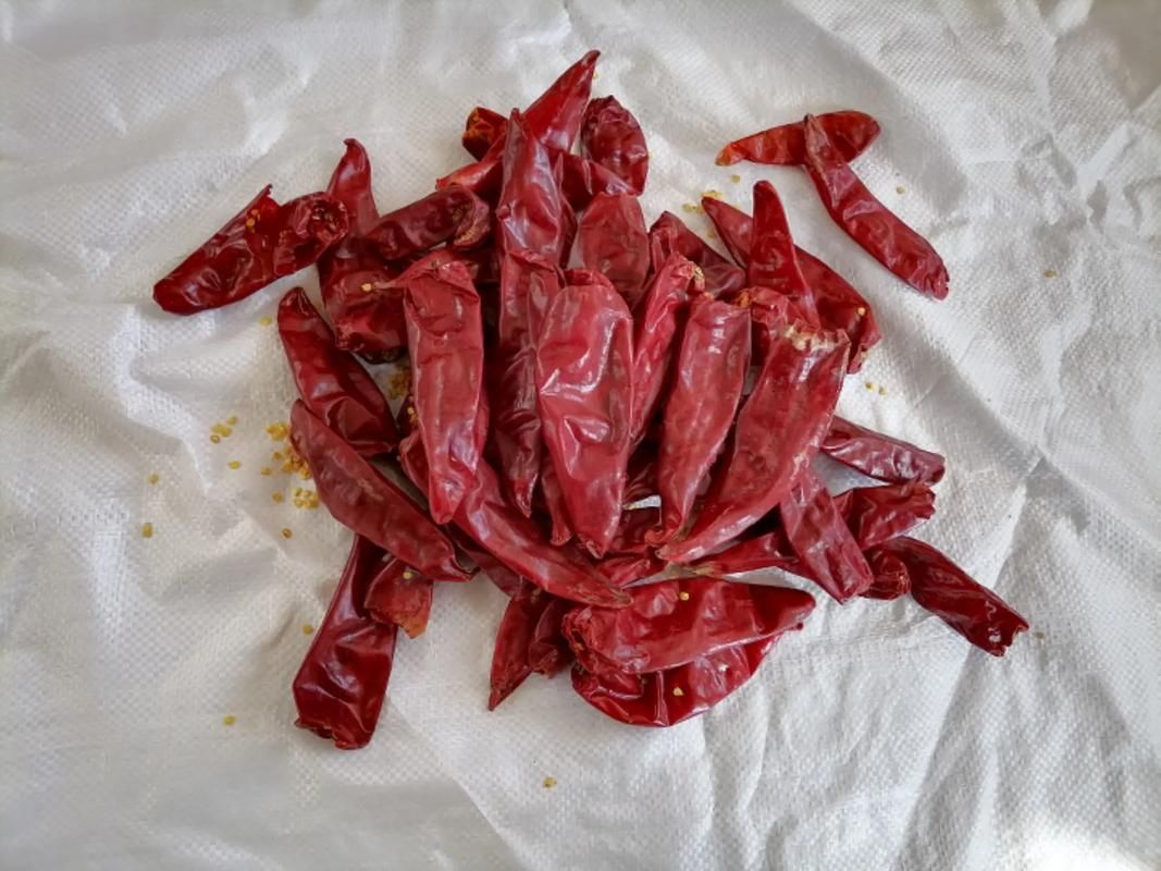 紅龍鱗片顏色如何影響其價值，紅龍主題家居有哪些品牌推薦？ 紅龍鱗片顏色如何影響其價值，紅龍主題家居有哪些品牌推薦？ 龍魚百科 第3張