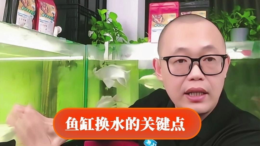 龍魚缸多久換一次水合適？，龍魚缸多久更換一次水合適？ 龍魚缸多久換一次水合適？，龍魚缸多久更換一次水合適？ 龍魚百科 第2張