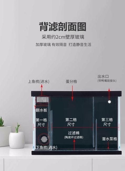 龍魚魚缸的最佳過濾系統(tǒng)是什么？，龍魚魚缸最佳過濾系統(tǒng) 龍魚魚缸的最佳過濾系統(tǒng)是什么？，龍魚魚缸最佳過濾系統(tǒng) 龍魚百科 第5張