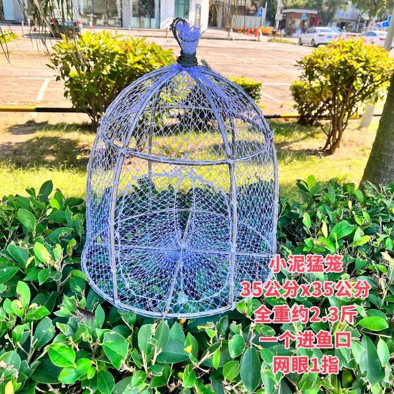 魚籠材質(zhì)對釣魚有何影響 魚籠材質(zhì)對釣魚有何影響 龍魚百科 第12張