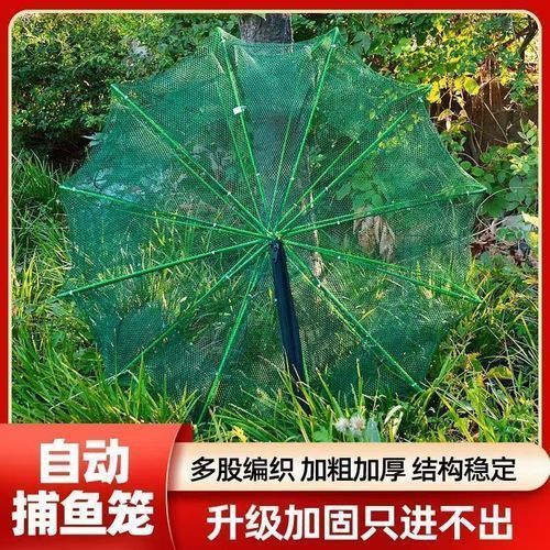 魚籠材質(zhì)對釣魚有何影響 魚籠材質(zhì)對釣魚有何影響 龍魚百科 第13張