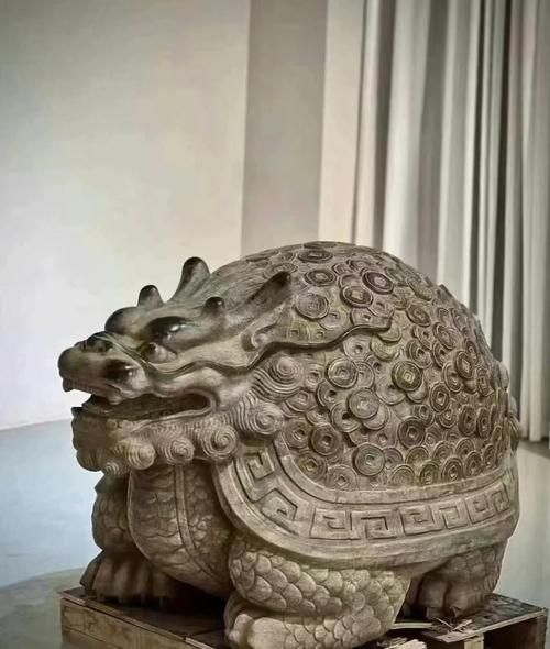 龍龜材質(zhì)有哪些選擇，常見的龍龜材質(zhì)選擇 龍龜材質(zhì)有哪些選擇，常見的龍龜材質(zhì)選擇 龍魚百科 第8張