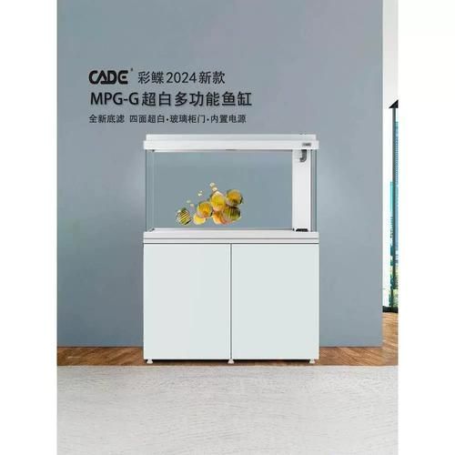 彩鰈龍魚缸的基礎款價格是多少？，彩鰈龍魚缸基礎款價格因品牌、尺寸和材質不同而有差異 彩鰈龍魚缸的基礎款價格是多少？，彩鰈龍魚缸基礎款價格因品牌、尺寸和材質不同而有差異 龍魚百科 第1張