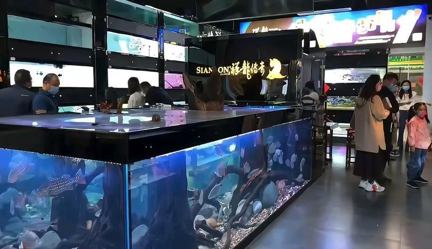 祥龍魚(yú)場(chǎng)APP有哪些功能？，祥龍魚(yú)場(chǎng)app有哪些功能為用戶誤記、虛構(gòu)或混淆