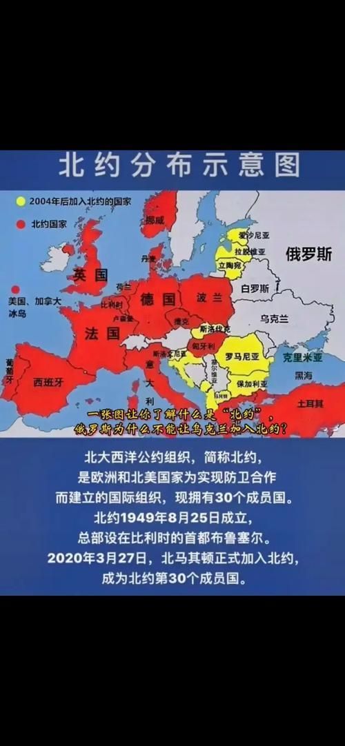 聯(lián)盟成員有哪些?,“聯(lián)盟成員有哪些”用戶要求詳解“聯(lián)盟成員有哪些” 龍魚百科 第4張 聯(lián)盟成員有哪些?,“聯(lián)盟成員有哪些”用戶要求詳解“聯(lián)盟成員有哪些” 聯(lián)盟成員有哪些?,“聯(lián)盟成員有哪些”用戶要求詳解“聯(lián)盟成員有哪些” 龍魚百科 第4張