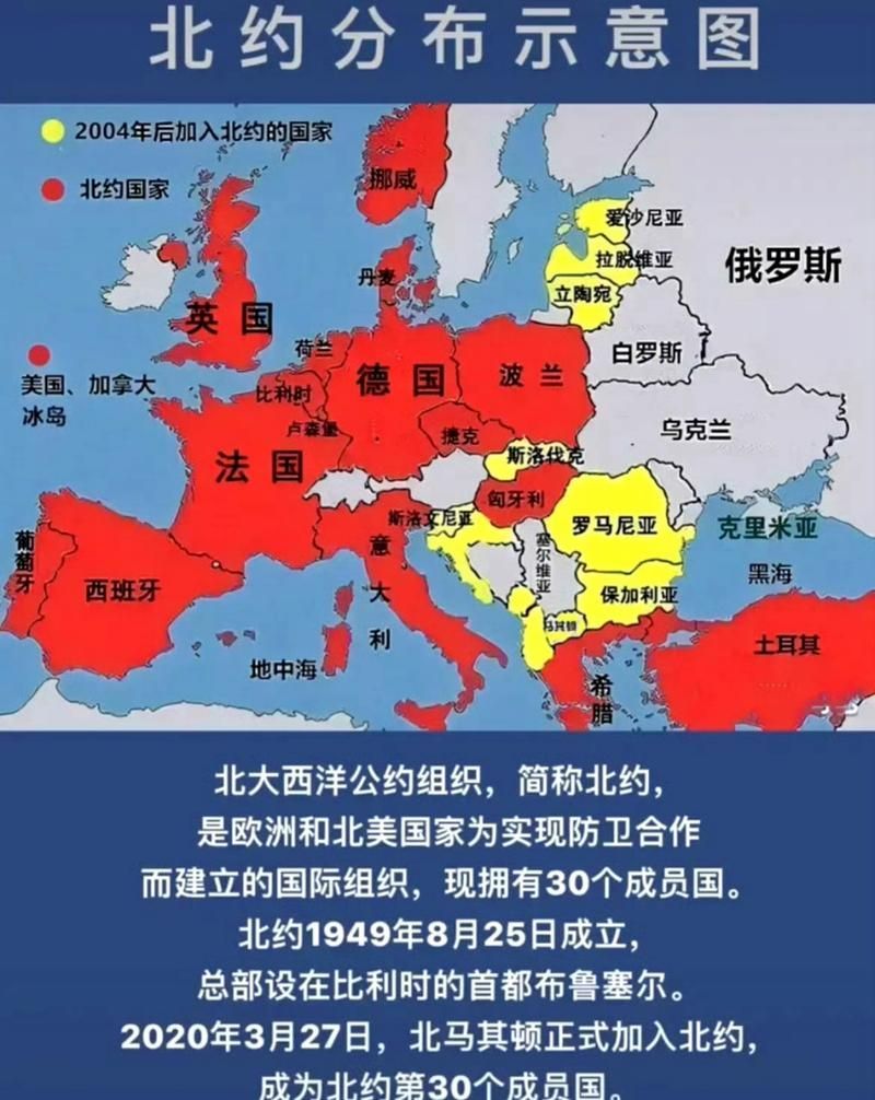 聯(lián)盟成員有哪些?,“聯(lián)盟成員有哪些”用戶要求詳解“聯(lián)盟成員有哪些” 龍魚百科 第1張 聯(lián)盟成員有哪些?,“聯(lián)盟成員有哪些”用戶要求詳解“聯(lián)盟成員有哪些” 聯(lián)盟成員有哪些?,“聯(lián)盟成員有哪些”用戶要求詳解“聯(lián)盟成員有哪些” 龍魚百科 第1張