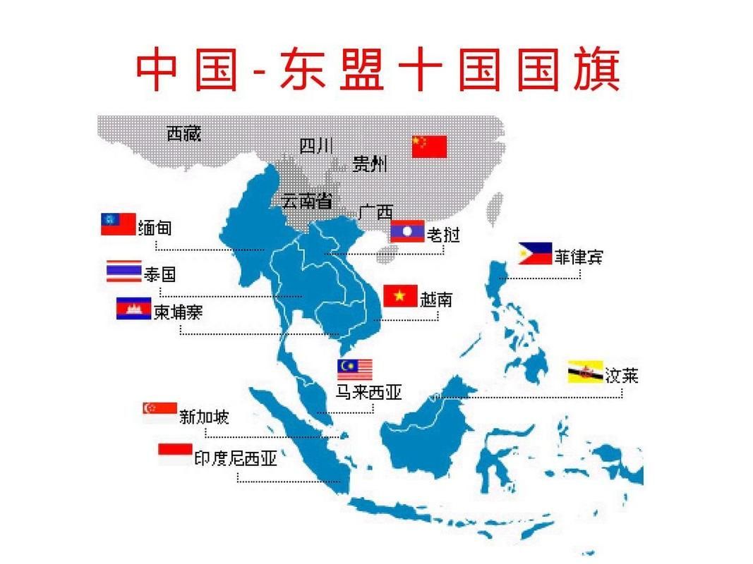 聯(lián)盟成員有哪些?,“聯(lián)盟成員有哪些”用戶要求詳解“聯(lián)盟成員有哪些” 龍魚百科 第10張 聯(lián)盟成員有哪些?,“聯(lián)盟成員有哪些”用戶要求詳解“聯(lián)盟成員有哪些” 聯(lián)盟成員有哪些?,“聯(lián)盟成員有哪些”用戶要求詳解“聯(lián)盟成員有哪些” 龍魚百科 第10張
