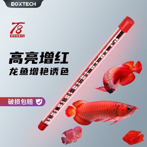 給我推薦幾款適合龍魚的魚缸燈，適合龍魚15瓦三色變光燈防水鸚鵡魚缸燈推薦：15瓦三色變光燈 給我推薦幾款適合龍魚的魚缸燈，適合龍魚15瓦三色變光燈防水鸚鵡魚缸燈推薦：15瓦三色變光燈 龍魚百科 第10張