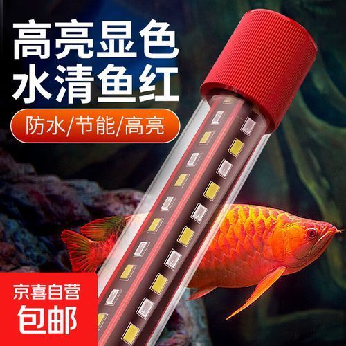 給我推薦幾款適合龍魚的魚缸燈，適合龍魚15瓦三色變光燈防水鸚鵡魚缸燈推薦：15瓦三色變光燈 給我推薦幾款適合龍魚的魚缸燈，適合龍魚15瓦三色變光燈防水鸚鵡魚缸燈推薦：15瓦三色變光燈 龍魚百科 第14張
