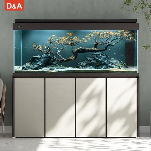 祥龍魚場有推薦的龍魚魚缸嗎？，祥龍魚場推薦龍魚魚缸