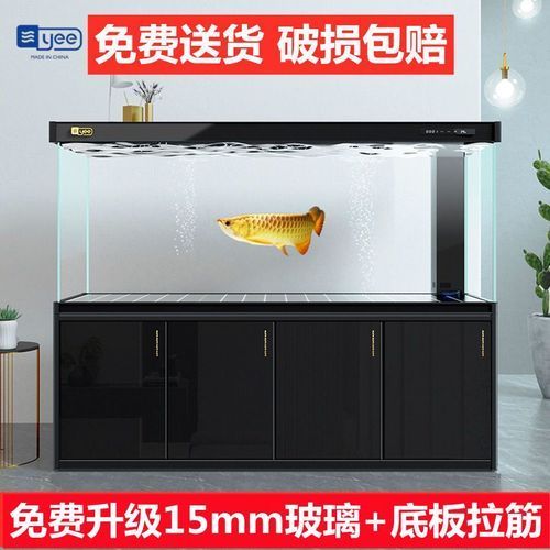 祥龍魚場有推薦的龍魚魚缸嗎？，祥龍魚場推薦龍魚魚缸