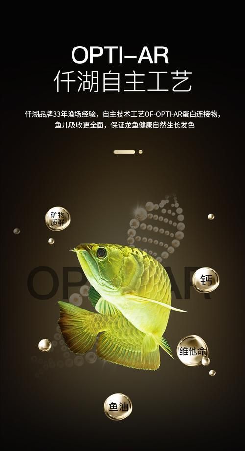 給我一些知名龍魚品牌的高清圖片 給我一些知名龍魚品牌的高清圖片 龍魚百科 第11張