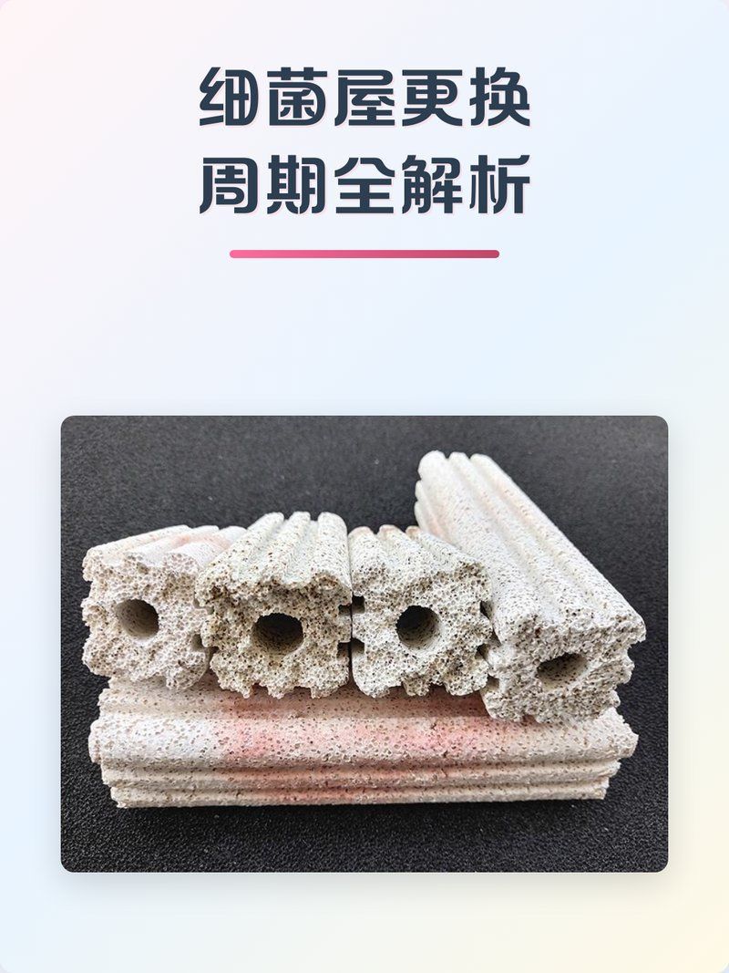 細(xì)菌屋多久換一次合適，細(xì)菌屋更換周期全解析