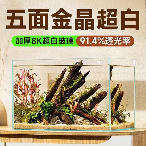 有沒有這些品牌魚缸的尺寸推薦？，魚缸尺寸怎么選擇？ 有沒有這些品牌魚缸的尺寸推薦？，魚缸尺寸怎么選擇？ 龍魚百科 第14張
