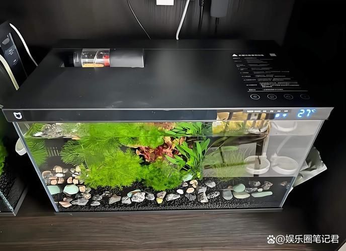 有沒有這些品牌魚缸的尺寸推薦？，魚缸尺寸怎么選擇？ 有沒有這些品牌魚缸的尺寸推薦？，魚缸尺寸怎么選擇？ 龍魚百科 第10張
