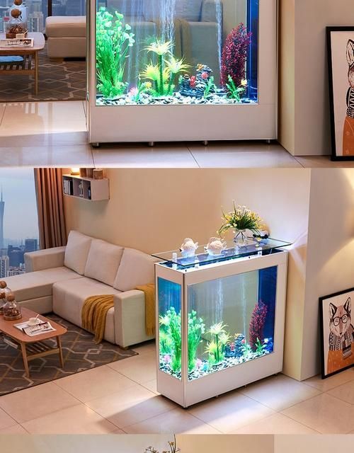 給我一些家庭水族箱布置的圖片，家庭水族箱如何布置 給我一些家庭水族箱布置的圖片，家庭水族箱如何布置 龍魚百科 第14張