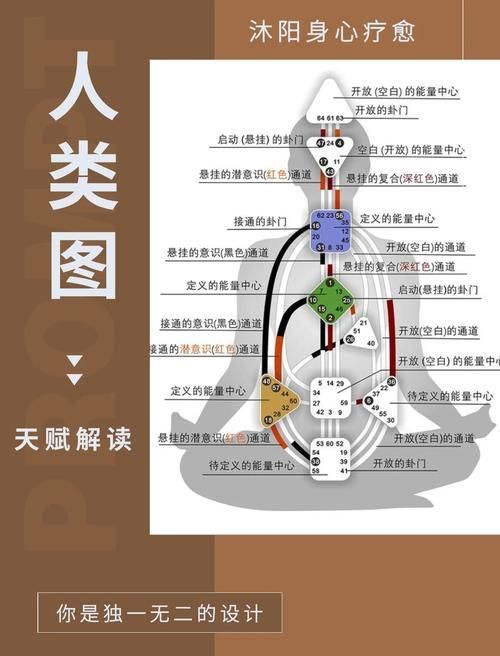 能否提供更詳細的圖片解析，圖像解析力測評的對比表格 能否提供更詳細的圖片解析，圖像解析力測評的對比表格 龍魚百科 第5張