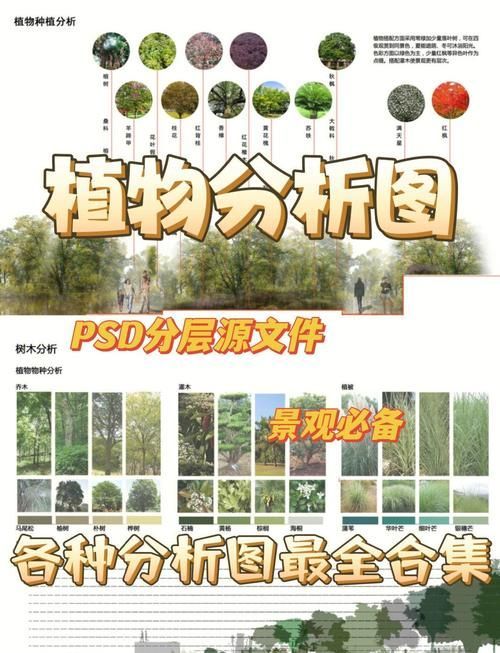 能否提供更詳細的圖片解析，圖像解析力測評的對比表格 能否提供更詳細的圖片解析，圖像解析力測評的對比表格 龍魚百科 第20張