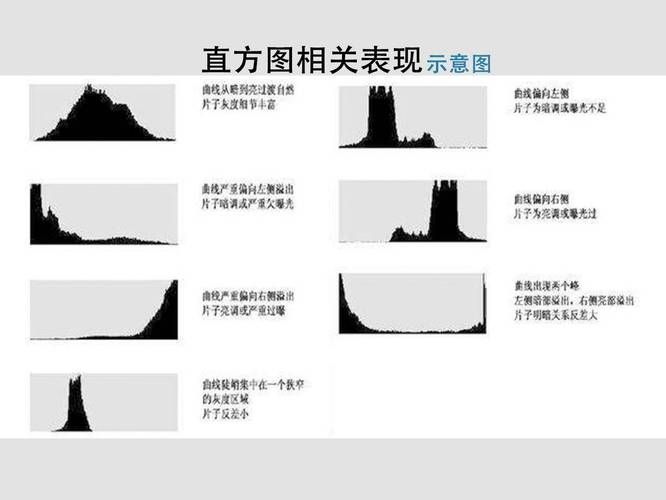 能否提供更詳細的圖片解析，圖像解析力測評的對比表格 能否提供更詳細的圖片解析，圖像解析力測評的對比表格 龍魚百科 第14張