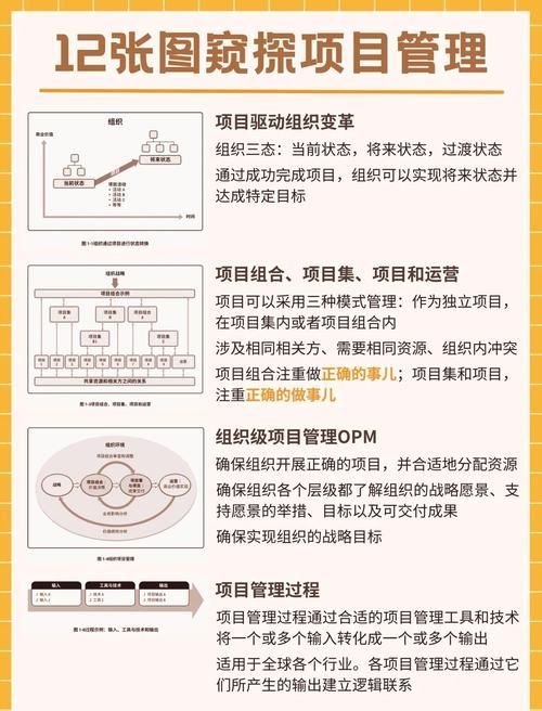 能否提供更詳細的圖片解析，圖像解析力測評的對比表格 能否提供更詳細的圖片解析，圖像解析力測評的對比表格 龍魚百科 第2張
