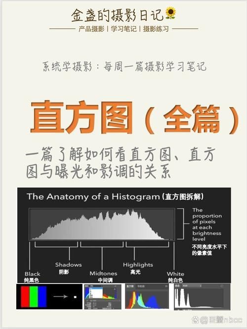 能否提供更詳細的圖片解析，圖像解析力測評的對比表格 能否提供更詳細的圖片解析，圖像解析力測評的對比表格 龍魚百科 第12張