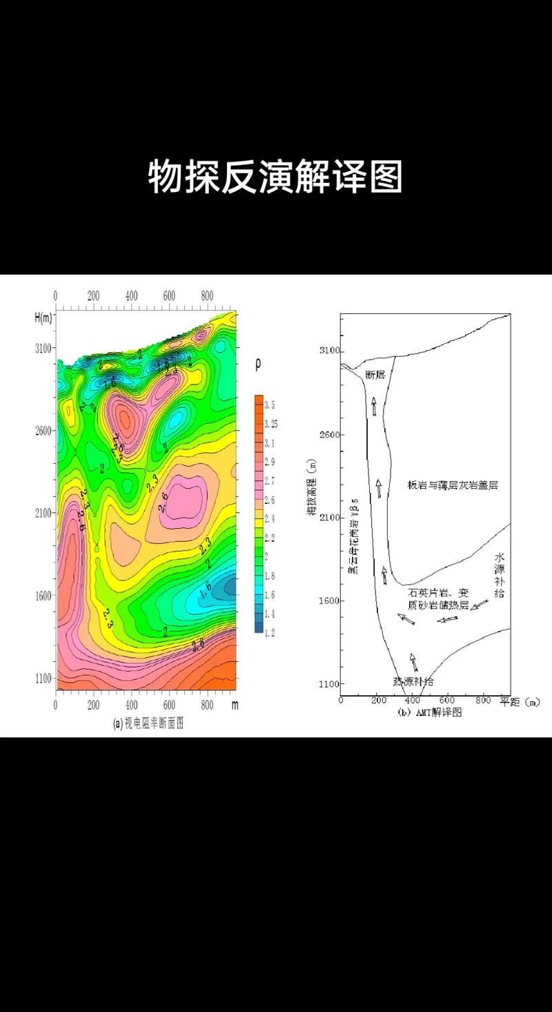 能否提供更詳細的圖片解析，圖像解析力測評的對比表格 能否提供更詳細的圖片解析，圖像解析力測評的對比表格 龍魚百科 第23張