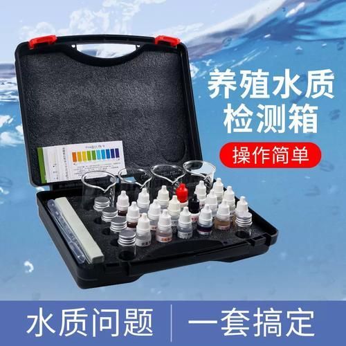 如何預(yù)防魚(yú)爛尾感染，如何科學(xué)預(yù)防魚(yú)爛尾感染 如何預(yù)防魚(yú)爛尾感染，如何科學(xué)預(yù)防魚(yú)爛尾感染 龍魚(yú)百科 第6張