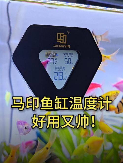 馬印水族，中“馬印水族商業(yè)” 馬印水族，中“馬印水族商業(yè)” 龍魚百科 第2張
