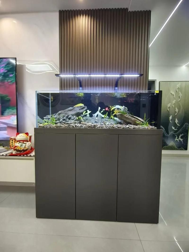 有哪些可靠的魚缸品牌推薦?,如何挑選魚缸品牌 龍魚百科 第5張 有哪些可靠的魚缸品牌推薦?,如何挑選魚缸品牌 有哪些可靠的魚缸品牌推薦?,如何挑選魚缸品牌 龍魚百科 第5張