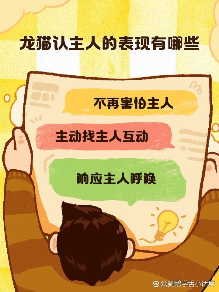 龍貓對主人有記憶嗎，龍貓對主人有記憶嗎，龍貓認主行為對照表 龍貓對主人有記憶嗎，龍貓對主人有記憶嗎，龍貓認主行為對照表 龍魚百科 第2張