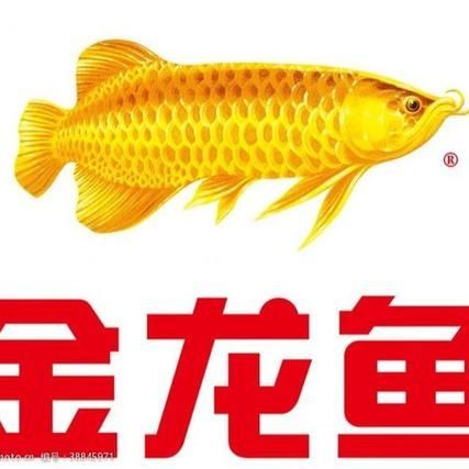 如何通過搜索引擎找到知名龍魚品牌的圖片?,如何通過搜索引擎高效找到知名龍魚品牌的圖片? 龍魚百科 第14張 如何通過搜索引擎找到知名龍魚品牌的圖片?,如何通過搜索引擎高效找到知名龍魚品牌的圖片? 如何通過搜索引擎找到知名龍魚品牌的圖片?,如何通過搜索引擎高效找到知名龍魚品牌的圖片? 龍魚百科 第14張