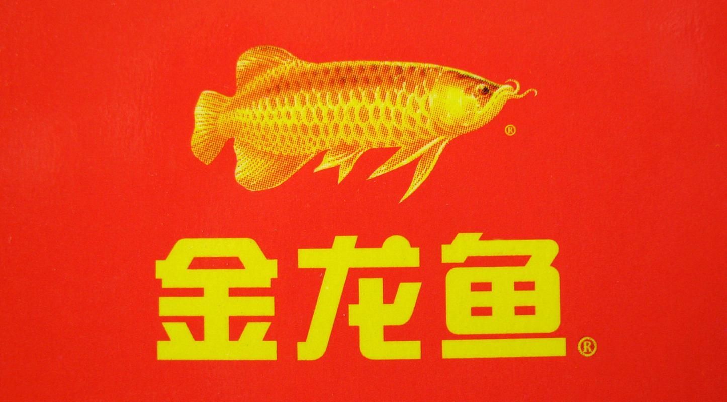 如何通過搜索引擎找到知名龍魚品牌的圖片?,如何通過搜索引擎高效找到知名龍魚品牌的圖片? 龍魚百科 第1張 如何通過搜索引擎找到知名龍魚品牌的圖片?,如何通過搜索引擎高效找到知名龍魚品牌的圖片? 如何通過搜索引擎找到知名龍魚品牌的圖片?,如何通過搜索引擎高效找到知名龍魚品牌的圖片? 龍魚百科 第1張