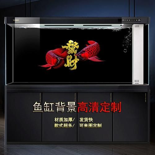 給我一些龍魚缸的裝飾圖片 龍魚百科 第4張 給我一些龍魚缸的裝飾圖片 給我一些龍魚缸的裝飾圖片 龍魚百科 第4張