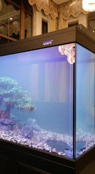 彩鰈、閩江、森森哪個品牌設計最好？，彩鰈、閩江、森森三個品牌設計對比分析顯示