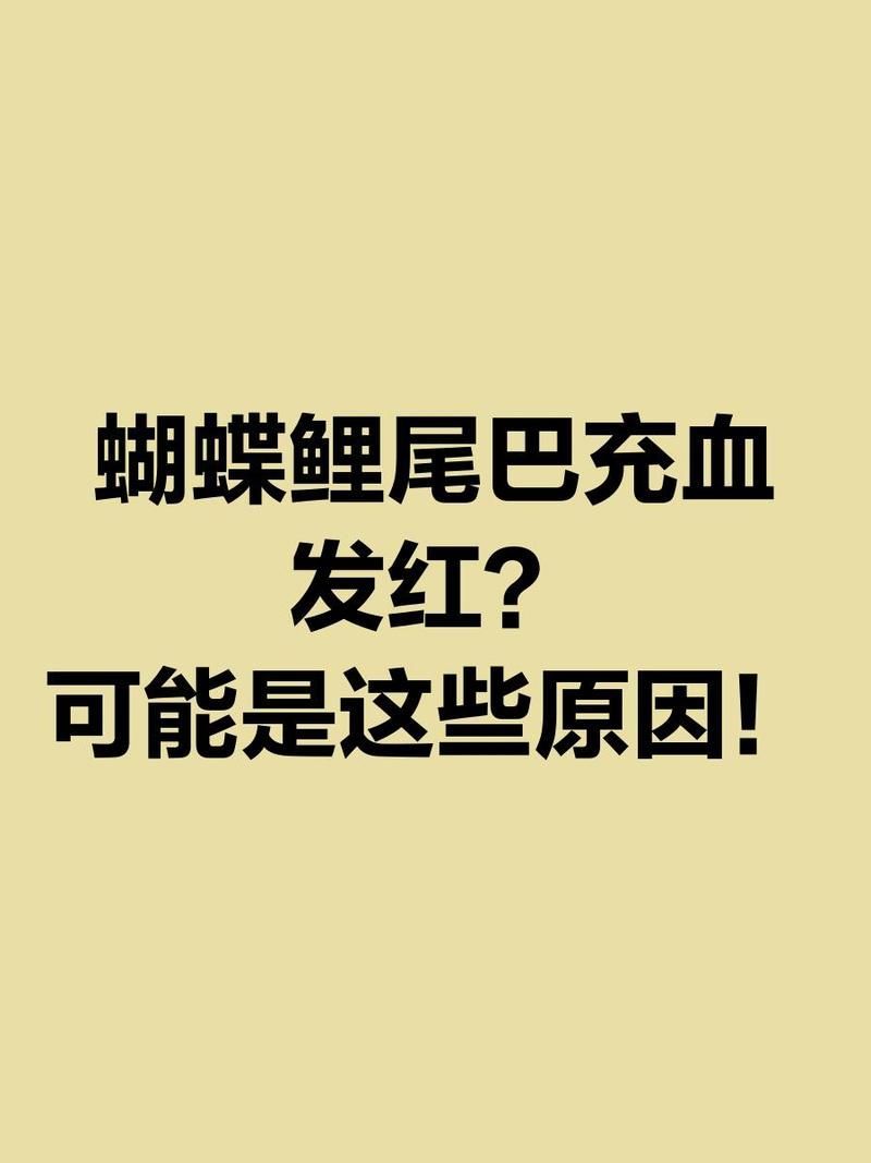 如何預防蝴蝶鯉尾巴紅血絲，如何預防蝴蝶鯉尾巴紅血絲的發生