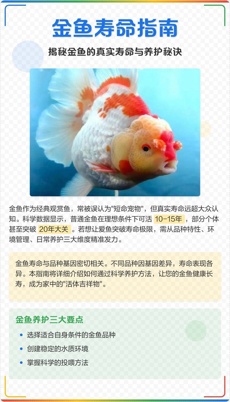 黑龍睛金魚的壽命有多長，金魚壽命最長能活多少年 黑龍睛金魚的壽命有多長，金魚壽命最長能活多少年 龍魚百科 第1張