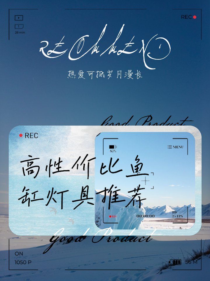 魚缸燈推薦 魚缸燈推薦 龍魚百科 第8張