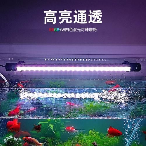 魚缸燈推薦 魚缸燈推薦 龍魚百科 第3張