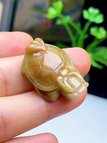 龍龜擺件有哪些材質選擇 龍魚百科 第5張 龍龜擺件有哪些材質選擇 龍龜擺件有哪些材質選擇 龍魚百科 第5張