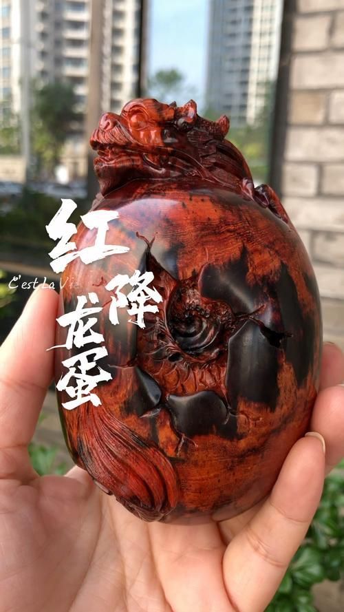 紅龍繁殖需要哪些特殊條件，《龍與地下城》紅龍繁殖需滿足以下五項核心條件需滿足以下五項條件